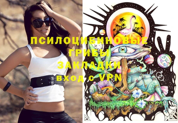 стафф Алексеевка