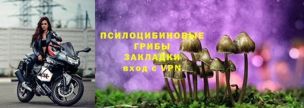 стафф Алексеевка