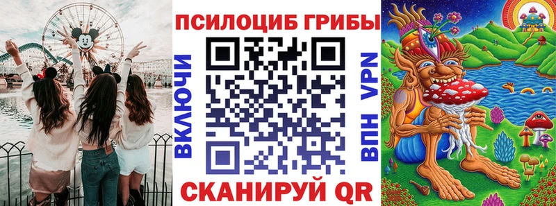 где купить   Каменск-Уральский  Псилоцибиновые грибы Magic Shrooms 