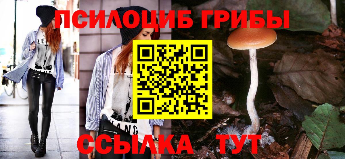 Галлюциногенные грибы MAGIC MUSHROOMS Каменск-Уральский
