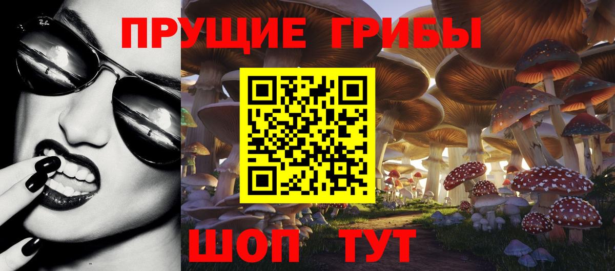 Меф Каменск-Уральский